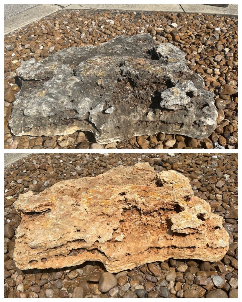 before & after
